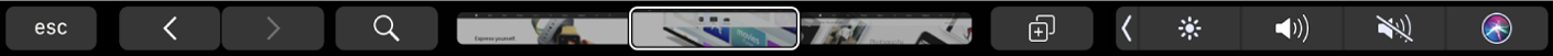 Die Safari-Touch Bar mit Vorwärts- und Rückwärtspfeil, der Suchtaste, der Tab-Navigationsleiste sowie der Taste zum Hinzufügen eines Lesezeichens.