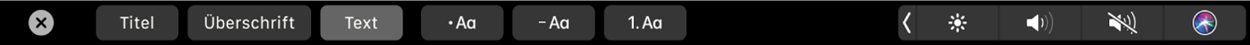 Die Notizen-Touch Bar umfasst Tasten für Absatzstile, einschließlich Titel, Überschrift und Text sowie Tasten für Aufzählungsoptionen wie Punkte, Striche und Nummern.