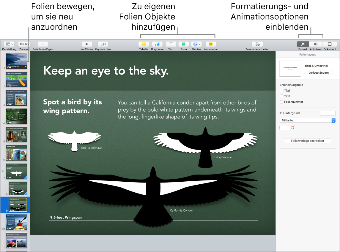 Keynote-Fenster mit Informationen zum Neuanordnen von Folien und Tasten zum Hinzufügen von Objekten zu Folien, einschließlich Optionen für Format und Animation.