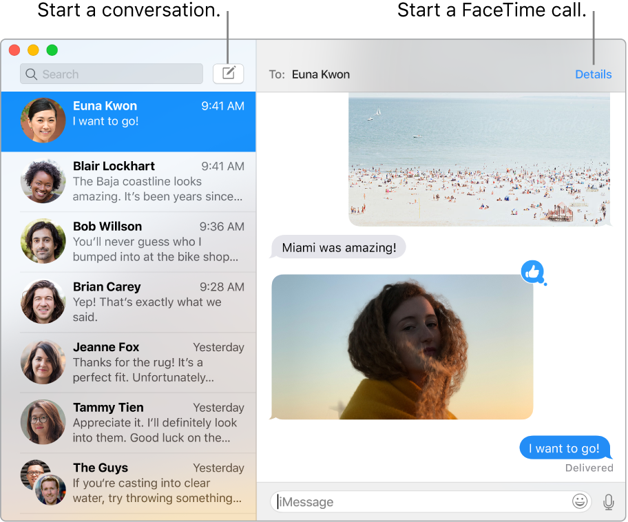 Messages window showing how to start a conversation and how to start a FaceTime call.