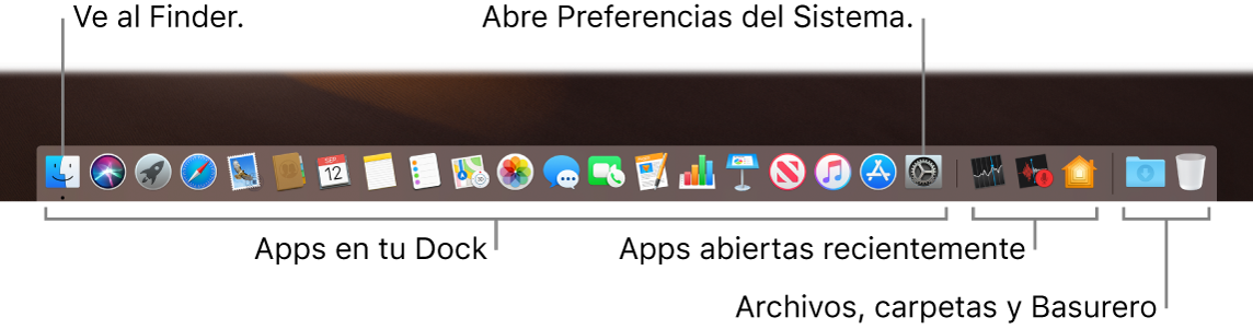 El Dock mostrando el Finder, Preferencias del Sistema y la línea que divide las apps de las carpetas y archivos.