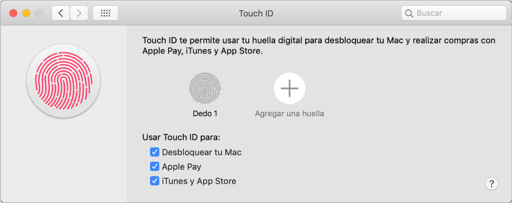 La ventana de preferencias de Touch ID con opciones para agregar una huella digital y usar Touch ID para desbloquear tu Mac, usar Apple Pay, y comprar en iTunes Store, App Store, y Apple Books.