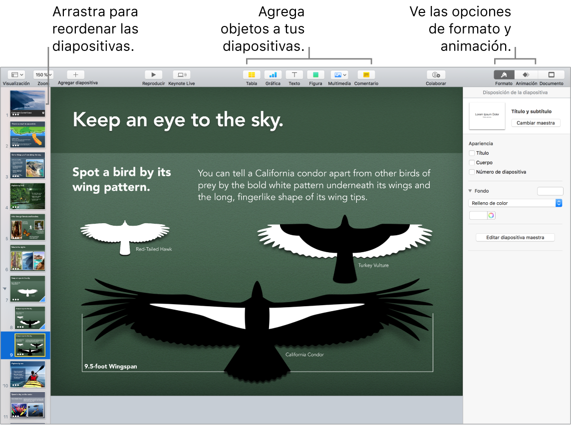 Ventana de Keynote mostrando cómo cambiar el orden de las diapositivas, e identificando los botones que te permiten agregar objetos y diapositivas, incluyendo opciones de formato y animación.