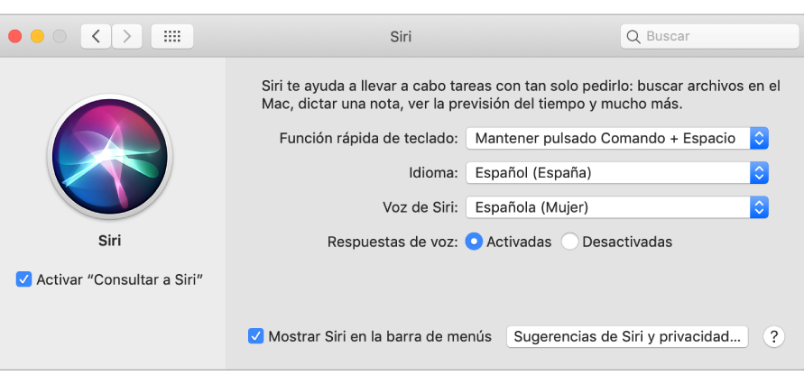 La ventana de preferencias de Siri, donde la casilla “Activar Siri” aparece seleccionada a la izquierda y se muestran varias opciones para personalizar Siri a la derecha.