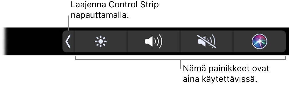 Osittainen näkymä oletuksena olevasta Touch Barista, jossa näkyy pienennetty Control Strip. Näytä koko Control Strip napauttamalla laajennuspainiketta.