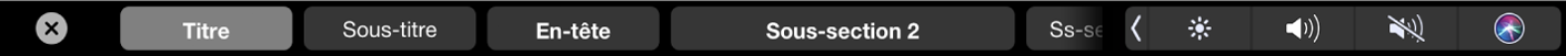 Touch Bar de Pages affichant des styles de mise en forme de paragraphe, notamment Titre, Sous-section et Légende.