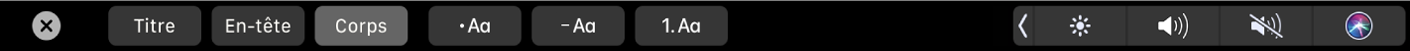 Touch Bar de Notes avec des boutons correspondant aux styles de paragraphe, notamment Titre, Sous-section et Corps, ainsi que des boutons correspondant aux options de liste, comme une puce, un tiret et un numéro.