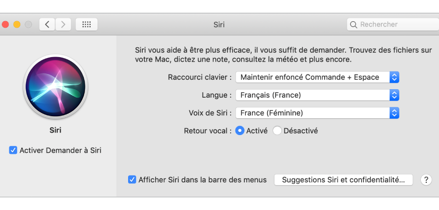 La fenêtre des préférences Siri, avec l’option Activer Demander à Siri sélectionnée à gauche et plusieurs options pour personnaliser Siri à droite.