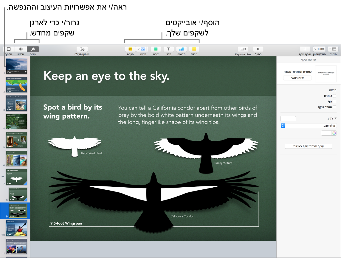 חלון של Keynote המראה כיצד לשנות את הסדר של שקפים ומסמן כפתורים המאפשרים להוסיף אובייקטים לשקפים, כולל אפשרויות עיצוב והנפשה.