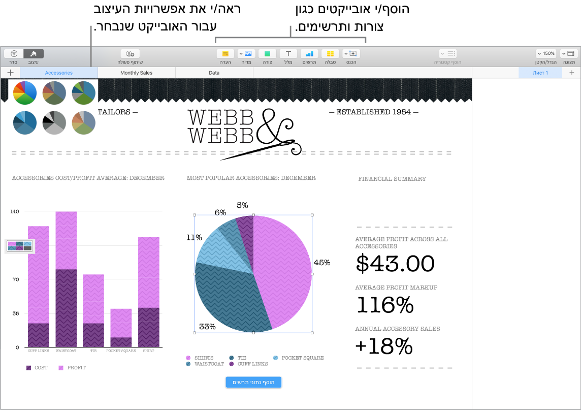 חלון של Numbers עם הסברים לקטגוריות האובייקטים שניתן להוסיף ולאפשרויות עיצוב האובייקטים.