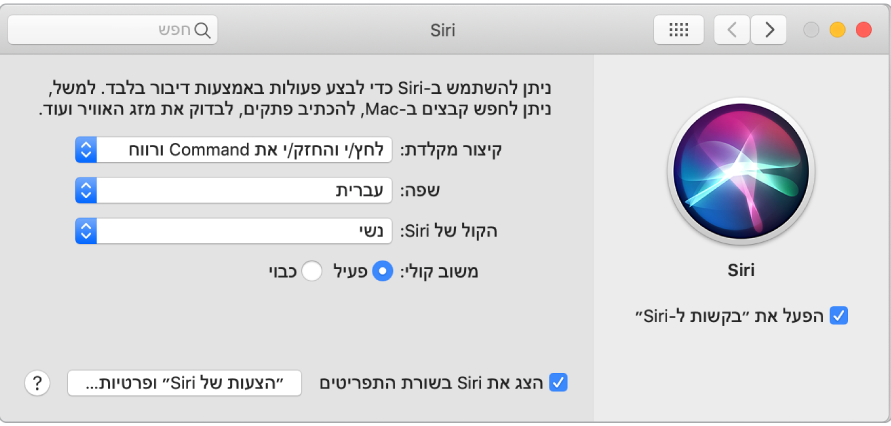 חלון ההעדפות של Siri עם האפשרות ״הפעל את ׳בקשות ל‑Siri׳״ נבחרת משמאל ומספר אפשרויות להתאמה אישית של Siri מימין.
