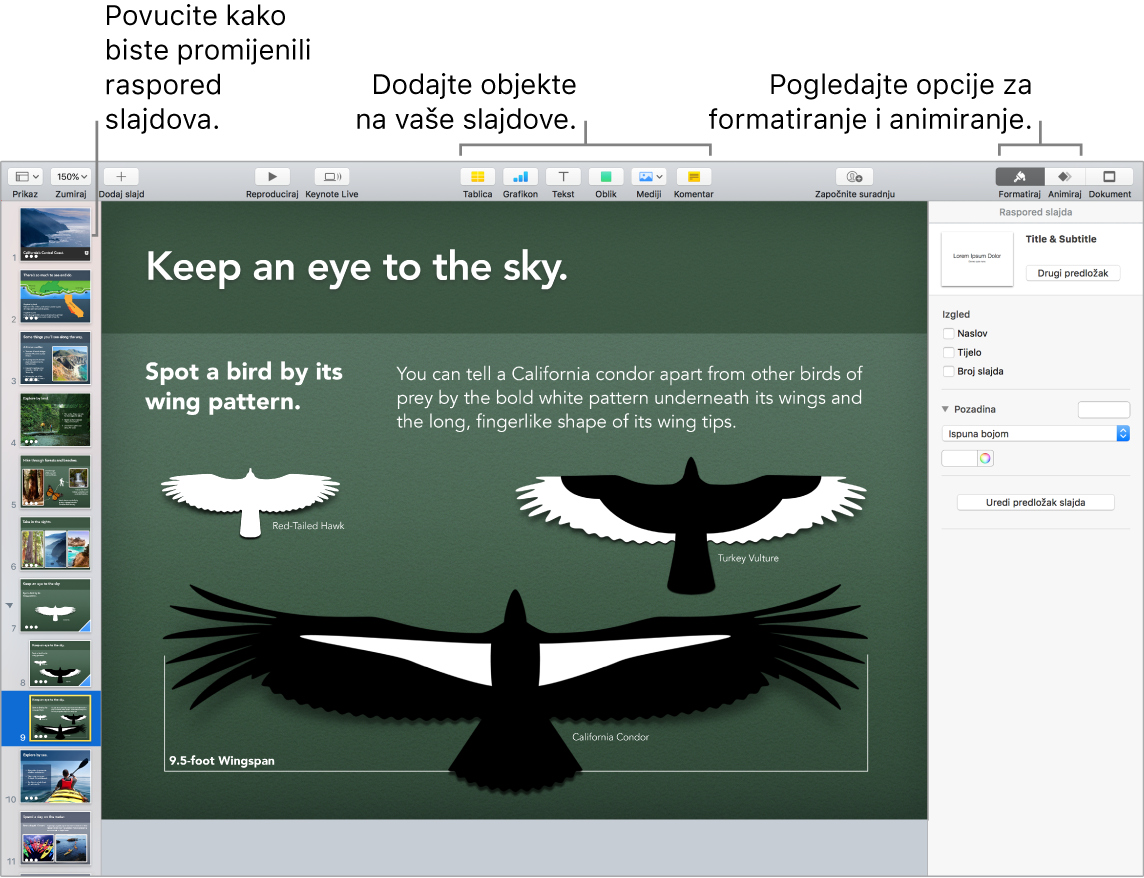 Prozor aplikacije Keynote prikazuje način za preraspoređivanje slajdova i prikazuje tipke koje vam omogućuju dodavanje objekata na slajdove, uključujući opcije formatiranja i animacije.