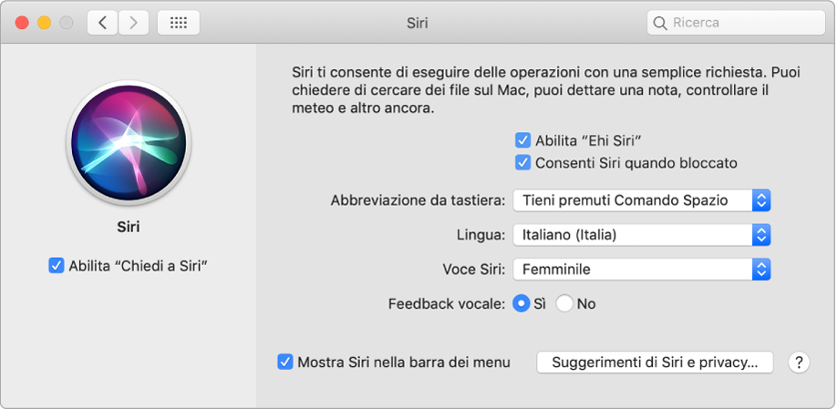 La finestra delle preferenze Siri con “Abilita Chiedi a Siri” selezionato sulla sinistra e varie opzioni per la personalizzazione di Siri sulla destra, tra cui “Ascolta Ehi Siri”.