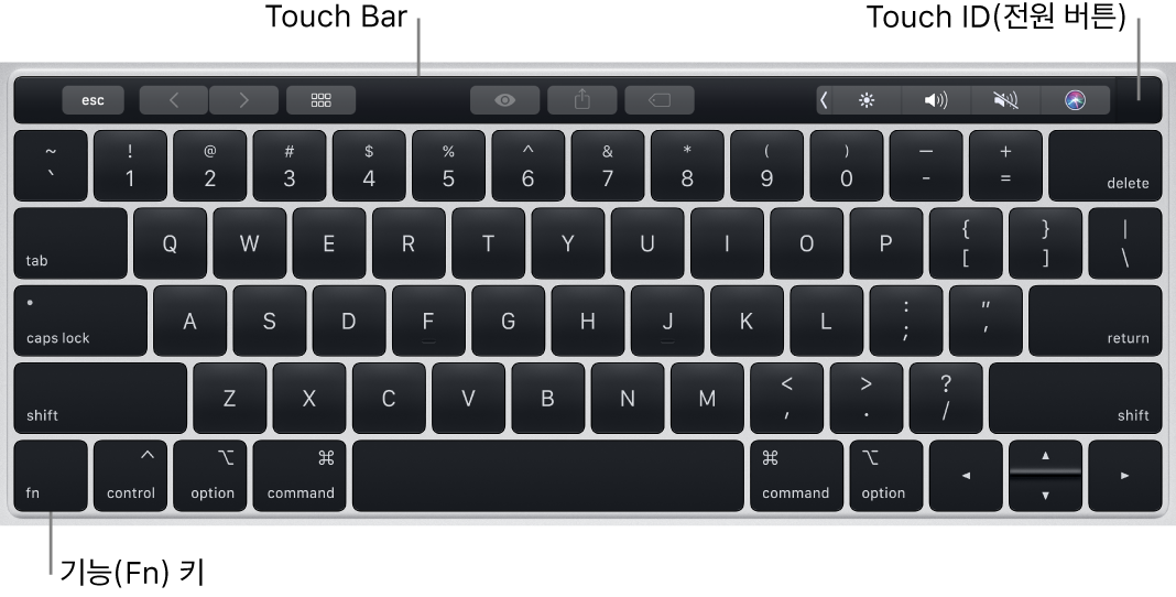 Touch Bar, Touch ID(전원 버튼) 및 키보드 왼쪽 아래에 있는 Fn 기능 키를 보여주는 MacBook Pro 키보드.