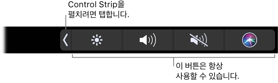 축소된 Control Strip을 표시하는 기본 Touch Bar가 나타난 화면의 일부 확장 버튼을 탭하여 Control Strip 전체를 표시합니다.