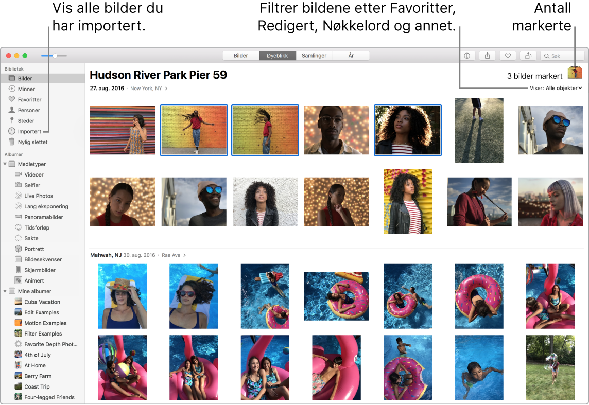 Bilder-vindu som viser markerte bilder, hvordan du kan filtrere bildene i albumet ditt og hvordan du bruker sidepanelet.