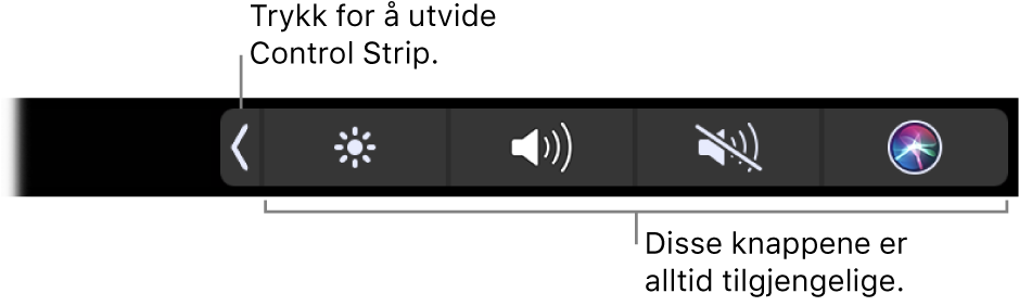 En del av standard Touch Bar, som viser Control Strip sammenslått. Trykk på Utvid-knappen for å vise hele Control Strip.