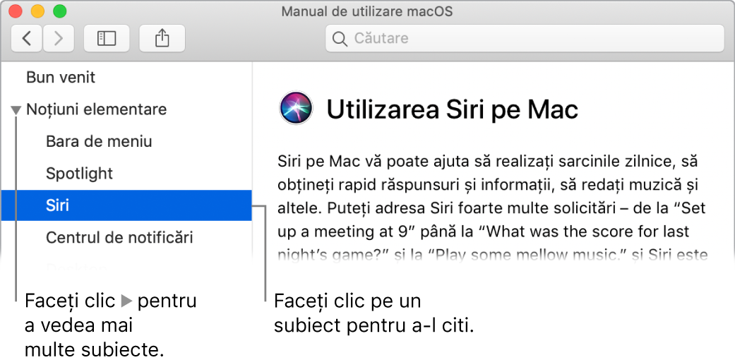 Vizualizator Ajutor afișând modul de vizualizare a subiectelor prezentate în bara laterală și modul de afișare a conținutului unui subiect.