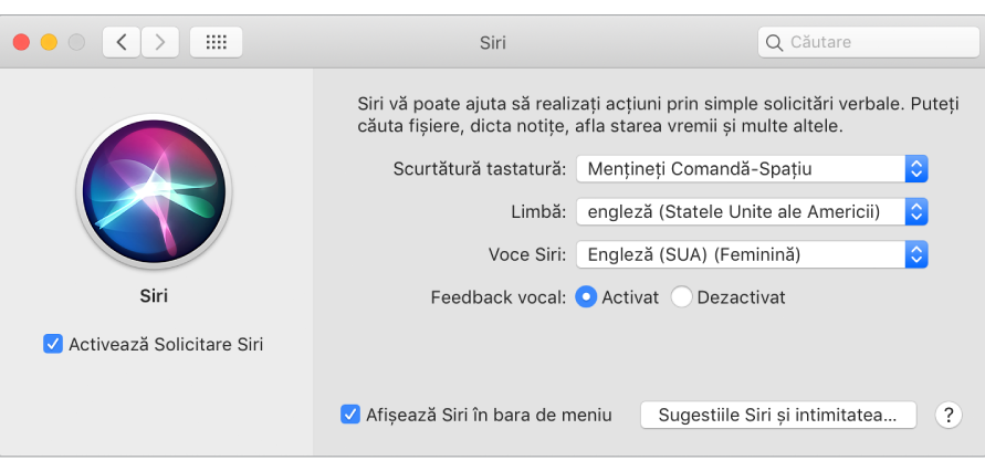 Fereastra de preferințe pentru Siri, având selectată opțiunea Activează Solicitare Siri în stânga și câteva opțiuni pentru personalizarea Siri în dreapta.