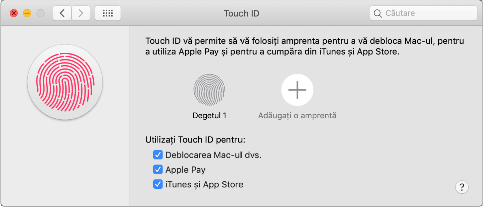 Fereastra cu preferințe Touch ID cu opțiuni pentru adăugarea unei amprente și utilizarea Touch ID pentru a vă debloca Mac-ul, utilizarea Apple Pay și cumpărarea din iTunes Store, App Store și Apple Books.