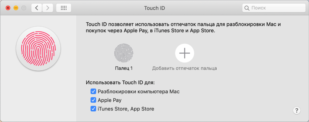 Окно настроек Touch ID с параметрами для добавления отпечатка пальца и использования Touch ID для разблокировки компьютера Mac, использования Apple Pay и совершения покупок в iTunes Store, App Store и Apple Books.