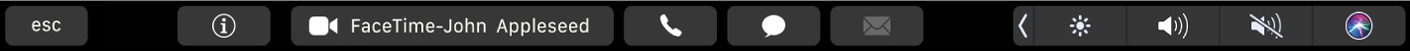 FaceTimes Touch Bar visar knappar för att visa information om en kontakt och för att ringa ett videosamtal eller ljudsamtal, skicka ett meddelande eller brev.