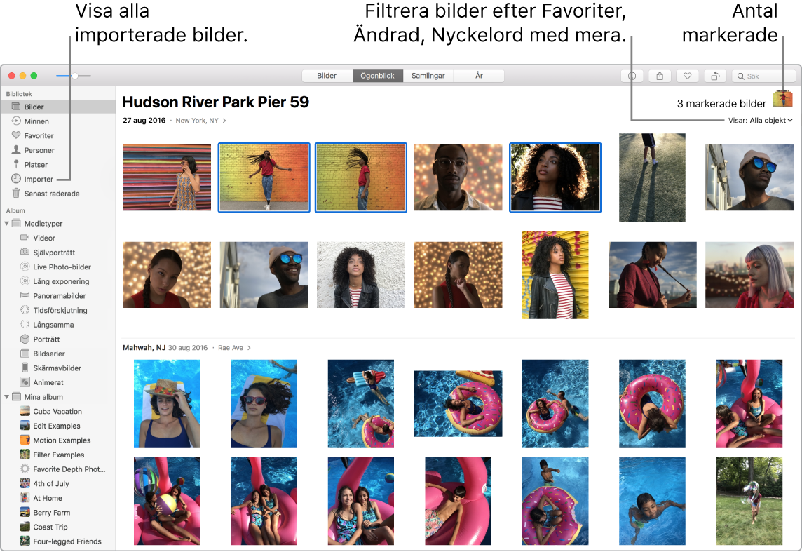 Bilder-fönster som visar flera markerade bilder, hur du filtrerar bilder i albumet och hur du använder sidofältet.