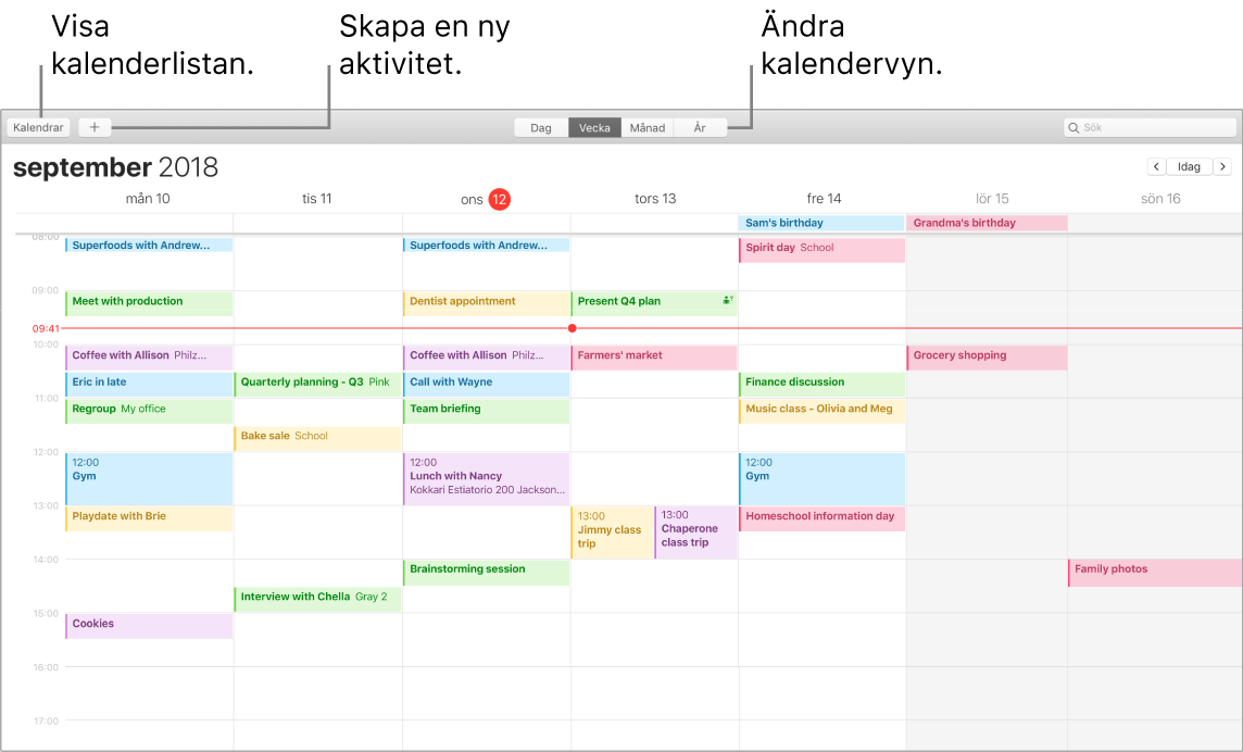 Kalender-fönster som visar hur du skapar en aktivitet, visar kalenderlistan och väljer dag-, vecko-, månads- eller årsvyn.
