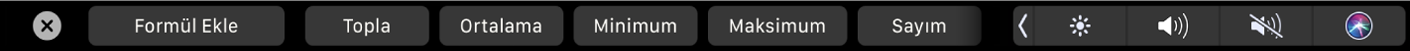 Formül düğmelerinin görüntülendiği Numbers Touch Bar’ı. Bunların arasında toplam, ortalama, minimum, maksimum ve sayım bulunur.