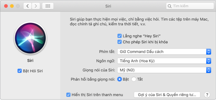 Cửa sổ tùy chọn Siri với Bật Hỏi Siri được chọn ở bên trái và một số tùy chọn để tùy chỉnh Siri ở bên phải, bao gồm “Lắng nghe ‘Hey Siri’”.