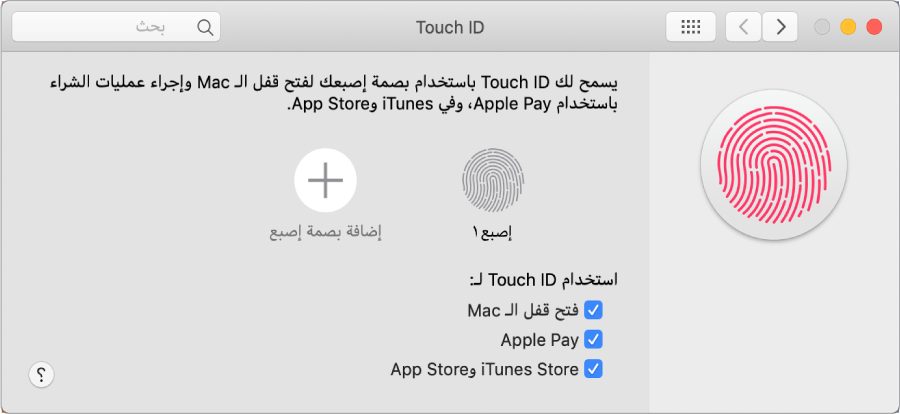 نافذة تفضيلات Touch ID وبها خيارات لإضافة بصمة إصبع واستخدام Touch ID لفتح قفل الـ Mac واستخدام Apple Pay والشراء من iTunes Store، وApp Store، وApple Books.