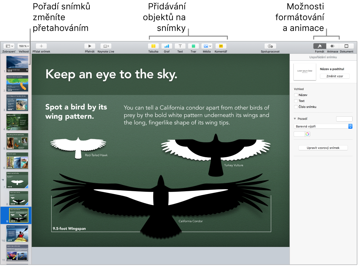 Okno Keynote s návodným popiskem pro změnu uspořádání snímků a s popisky tlačítek pro přidávání objektů na snímky a pro volby formátu a animace