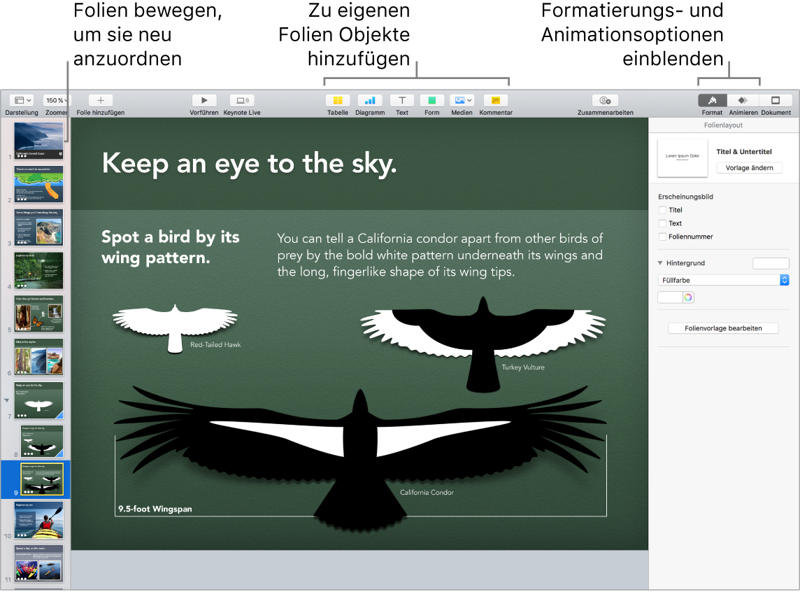 Keynote-Fenster mit Informationen zum Neuanordnen von Folien und Tasten zum Hinzufügen von Objekten zu Folien, einschließlich Optionen für Format und Animation.