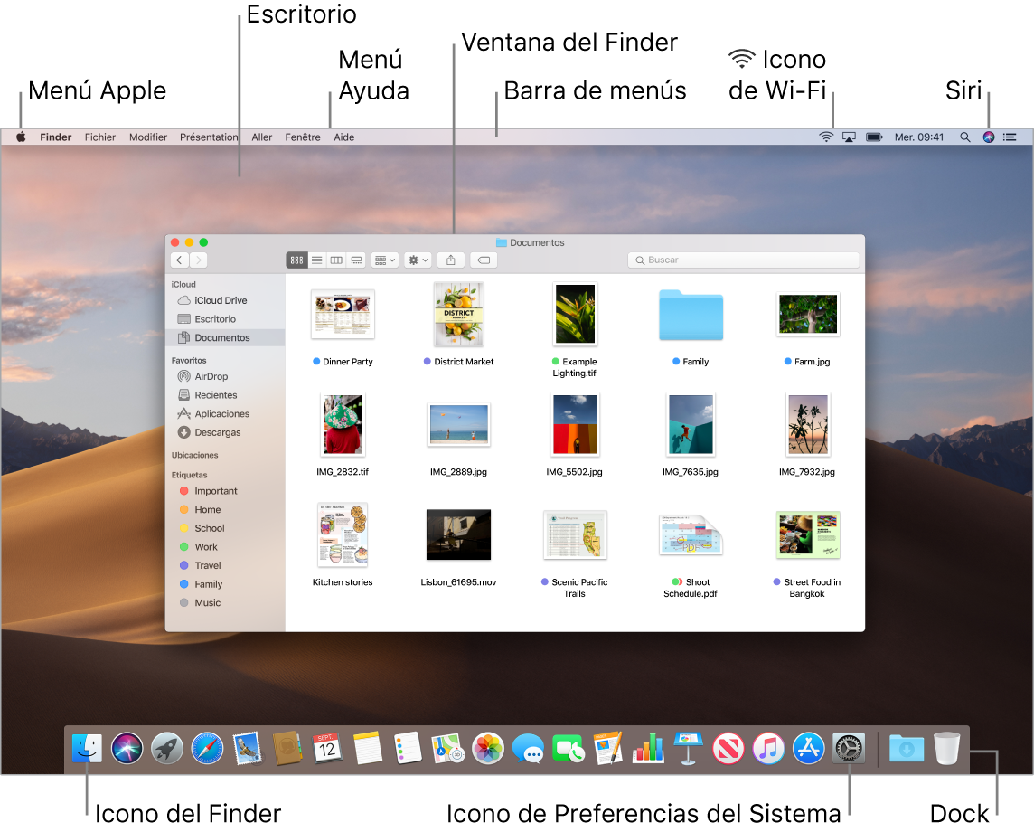 Pantalla del Mac en la que se muestra el menú Apple, el escritorio, el menú Ayuda, una ventana del Finder, la barra de menús, el icono de Wi-Fi, el icono para preguntar a Siri, el icono del Finder, el icono de Preferencias del Sistema y el Dock.