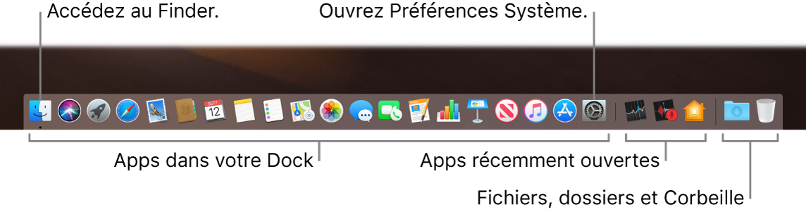 Le Dock affichant le Finder, les Préférences Système et le trait dans le Dock séparant les apps des fichiers et dossiers.