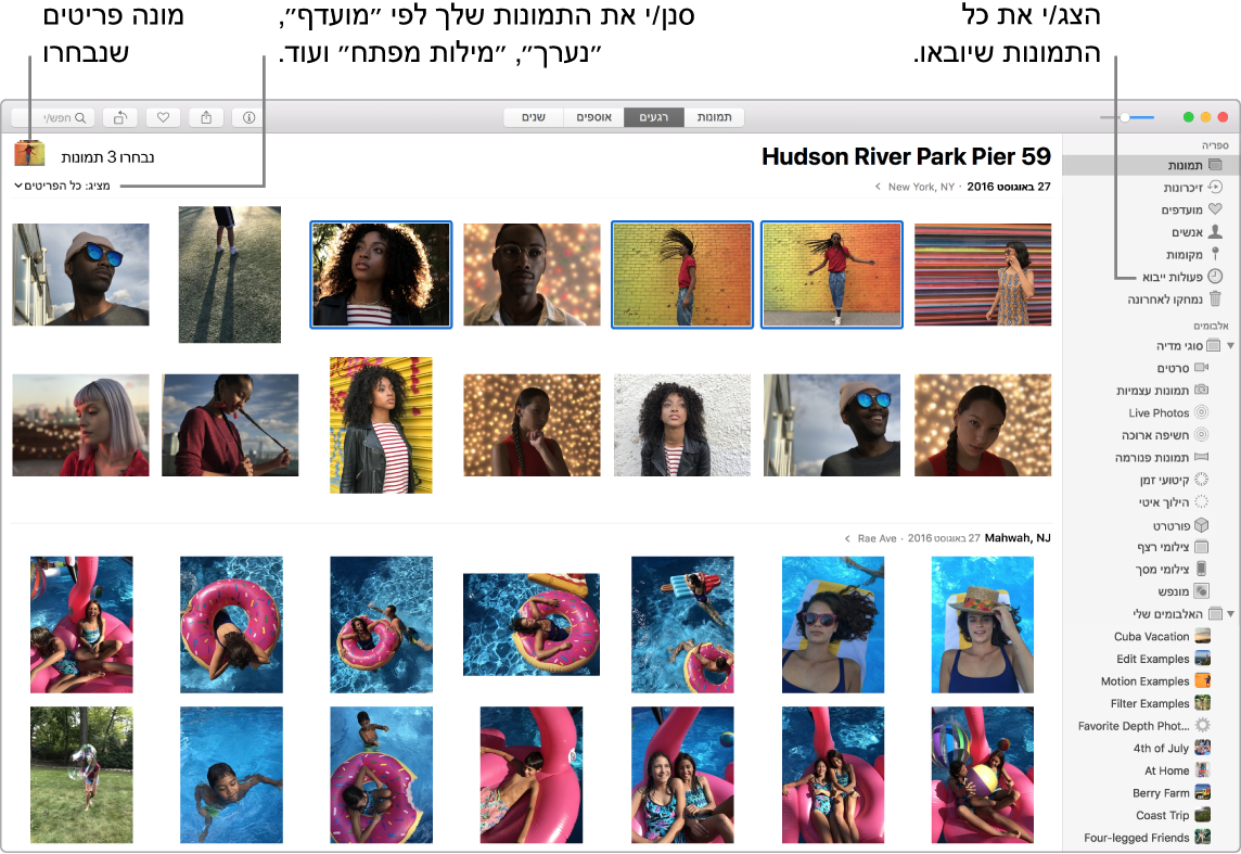 חלון של ״תמונות״ המראה מספר תמונות שנבחרו, כיצד לסנן את התמונות באלבום וכיצד להשתמש בסרגל הצד.
