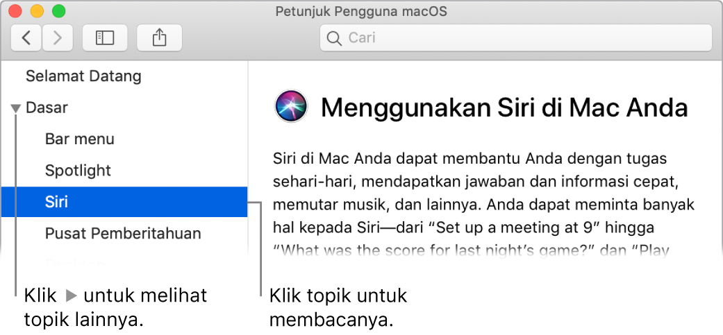 Penampil Bantuan menampilkan cara melihat topik yang terdapat di bar samping dan cara menampilkan konten topik.