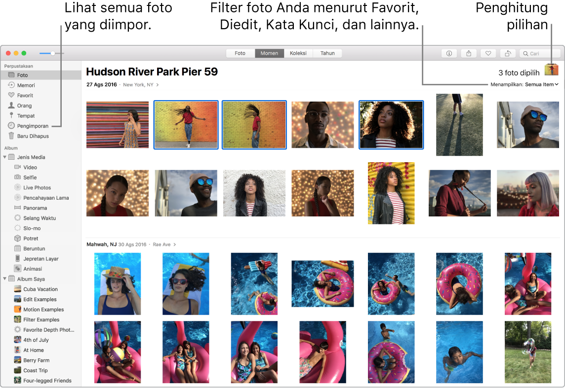 Jendela Foto menampilkan beberapa foto dipilih, cara memfilter foto di album Anda, dan cara menggunakan bar samping.