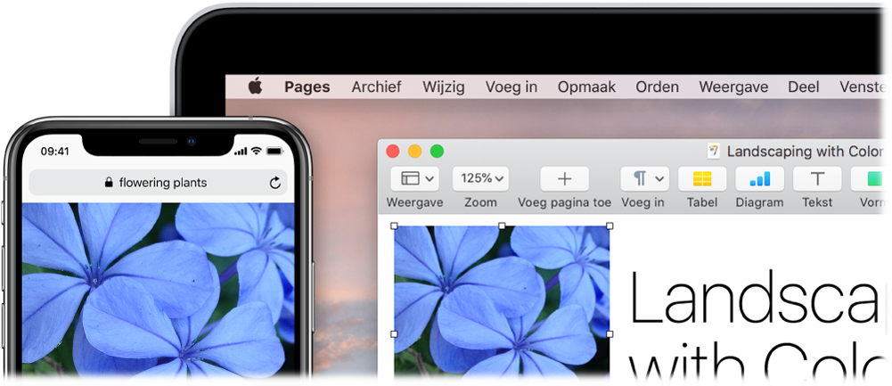 Een iPhone met een foto, met daarnaast een Mac waarop de foto in een Pages-document wordt geplakt.