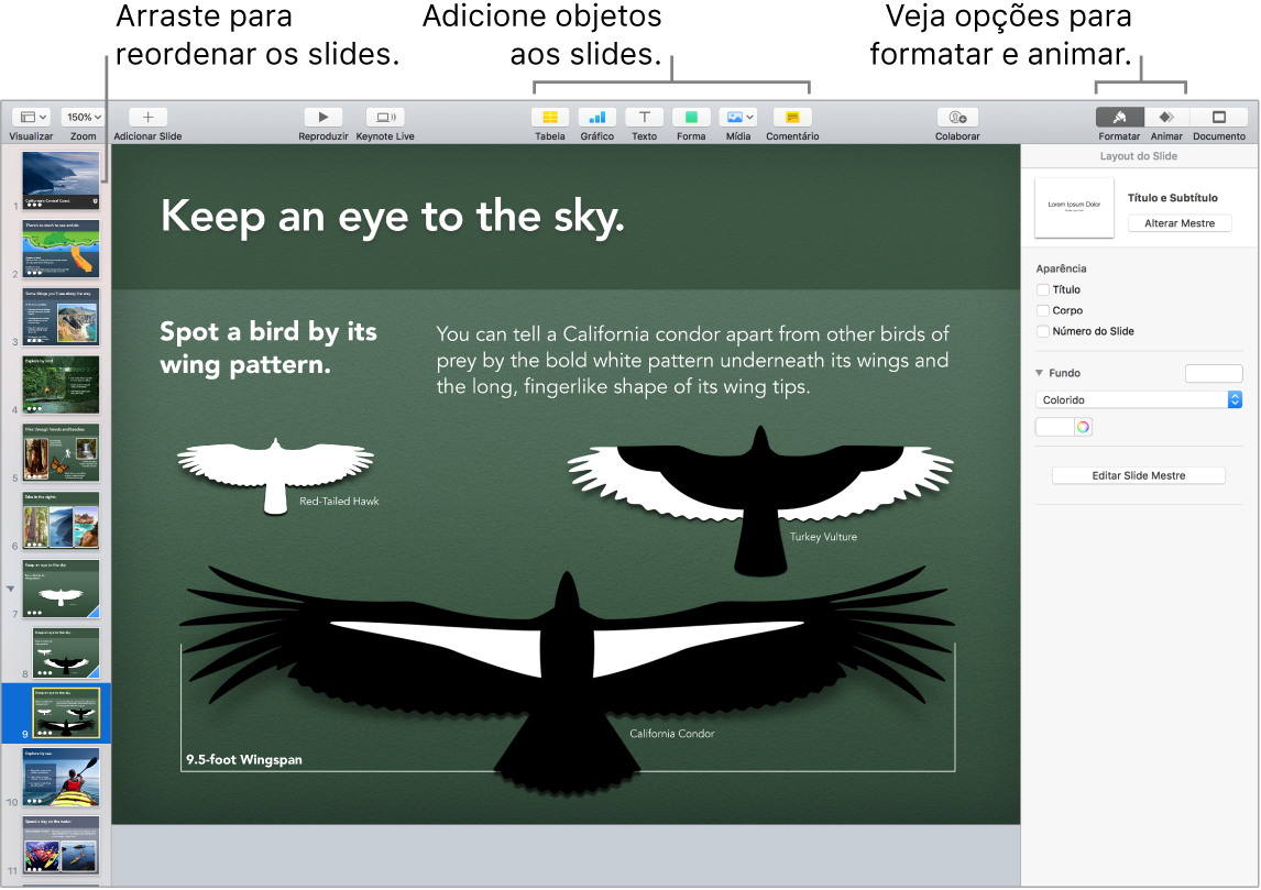 Janela do Keynote mostrando como reordenar slides e identificando botões que permitem adicionar objetos aos slides, inclusive opções de formatação e animação.