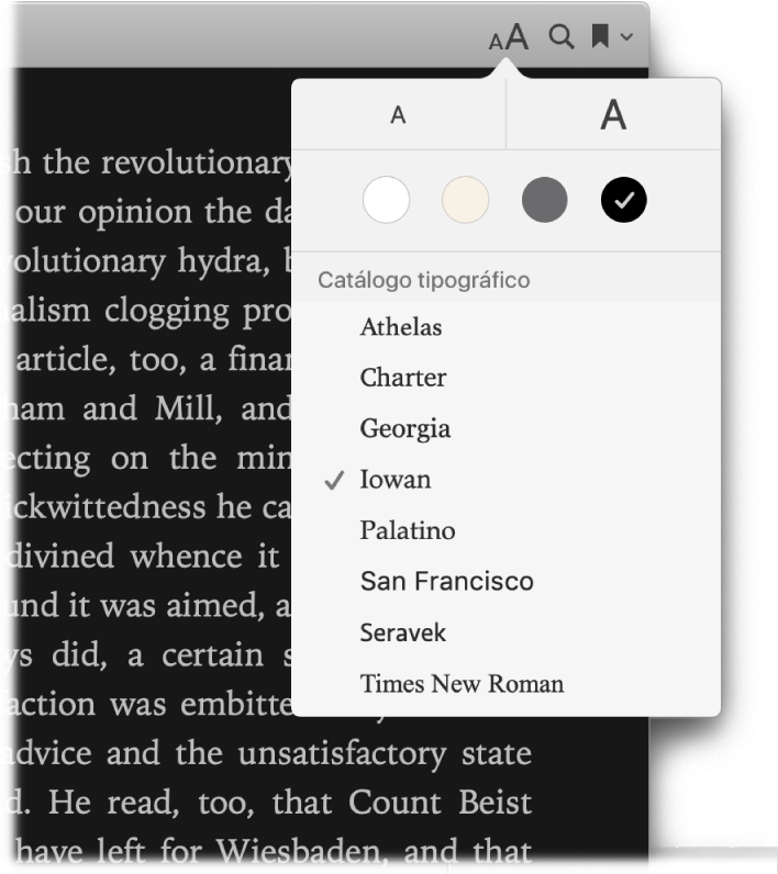 Uma página da aplicação Livros, a apresentar o menu Aspeto.