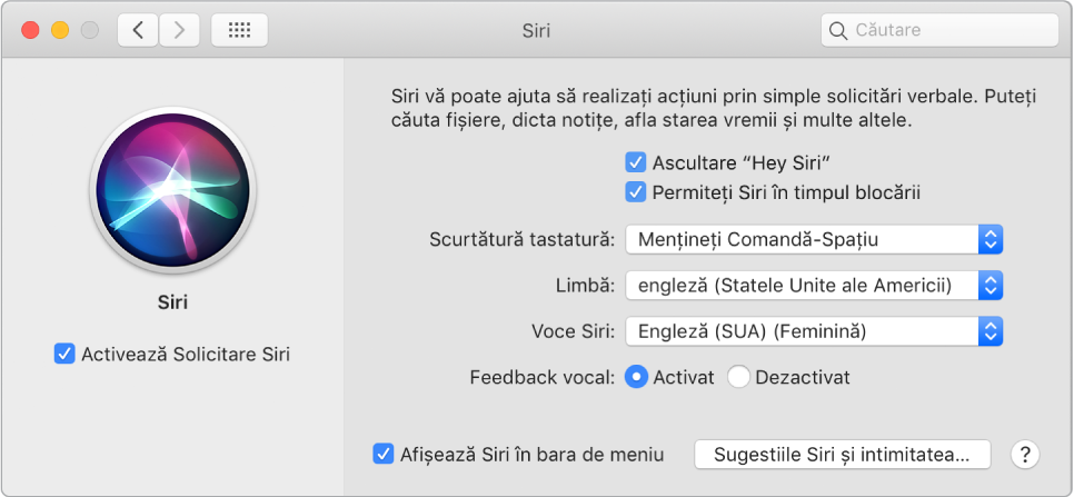 Fereastra de preferințe pentru Siri, având selectată opțiunea Activează Solicitare Siri în stânga și câteva opțiuni pentru personalizarea Siri în dreapta, inclusiv “Ascultare Hey Siri”.