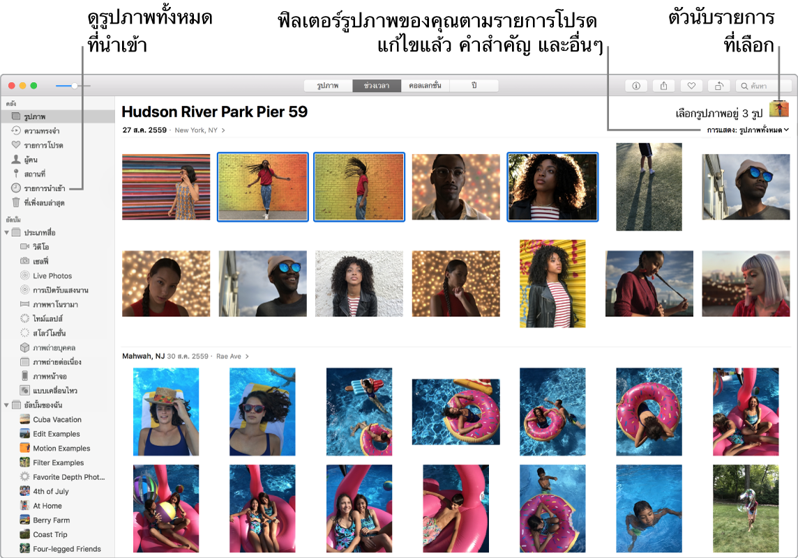 หน้าต่างรูปภาพที่แสดงรูปภาพหลายรูปที่ถูกเลือกอยู่ วิธีฟิลเตอร์รูปภาพในอัลบั้มของคุณ และวิธีใช้แถบด้านข้าง