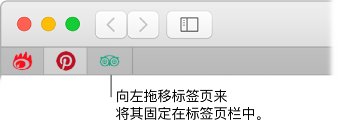 Safari 浏览器窗口，显示如何将标签页固定到标签页栏中。