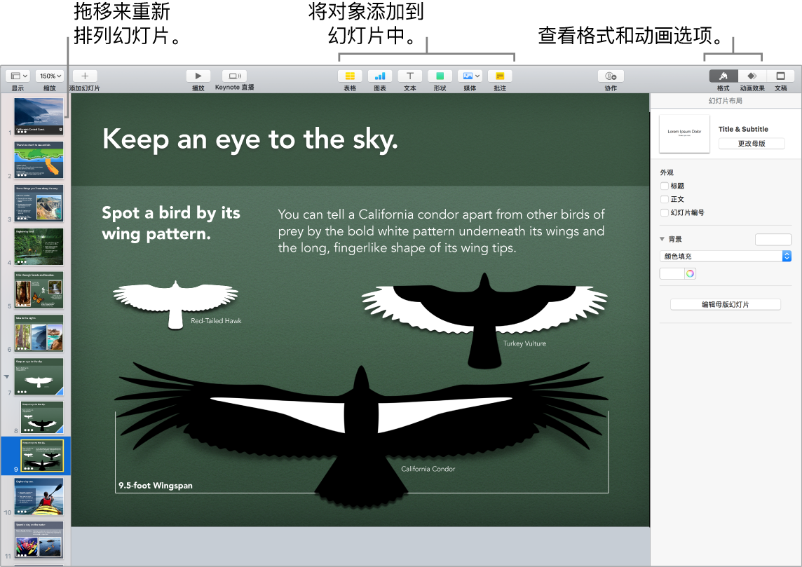 Keynote 讲演窗口，显示如何重新排列幻灯片，并指明用来将对象添加到幻灯片的按钮，包括格式化和动画选项。