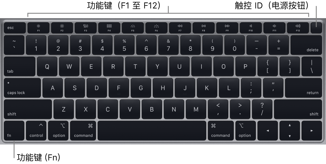 显示一排功能键的 MacBook Air 键盘，触控 ID 电源按钮位于顶部，功能键 (Fn) 位于左下角。