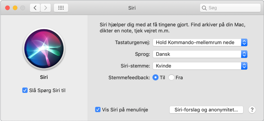 Vinduet med Siri-indstillinger med Slå Spørg Siri til valgt til venstre og flere muligheder til tilpasning af Siri til højre.