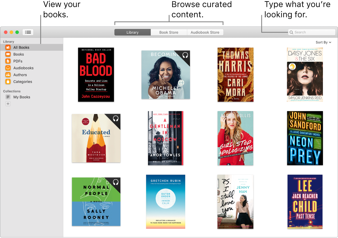 A Books app window showing how to view books, browse curated content, and search.