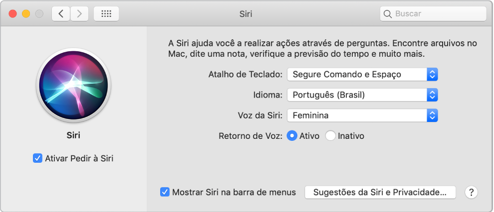 Janela de preferências da Siri com a opção “Ativar Pedir à Siri” selecionada à esquerda e várias opções para personalização da Siri à direita.