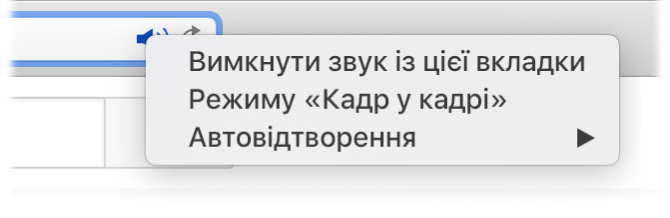 Підменю іконки «Аудіо» з елементами «Вимкнути звук із цієї вкладки», «Кадр у кадрі» та «Автовідтворення».